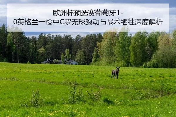 ou-zhou-bei-yu-xuan-sai-pu-tao-ya-ying-ge-lan-yi-yi-zhong-luo-wu-qiu-pao-dong-yu-zhan-shu-xi-sheng-shen-du-jie-xi-2-781.jpg